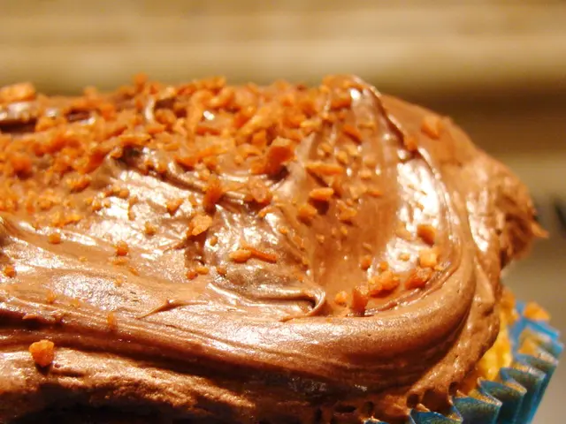 Global Crisis in Yemen Demands Immediate International Aid due to Worsening Hunger Situation