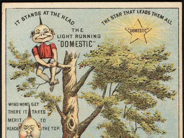 Investigating Immigrant Studies: Reviewing Past Findings and Setting New Directions