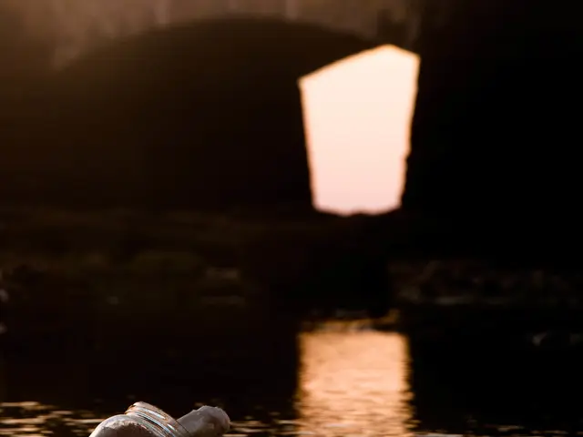 Research on Drifting Paper Clips Project