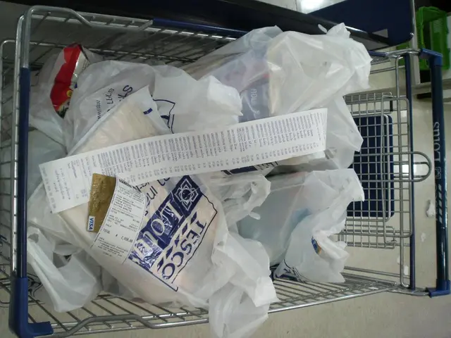 Europe's Recycling Sector at Risk: A Despairing Forecast?