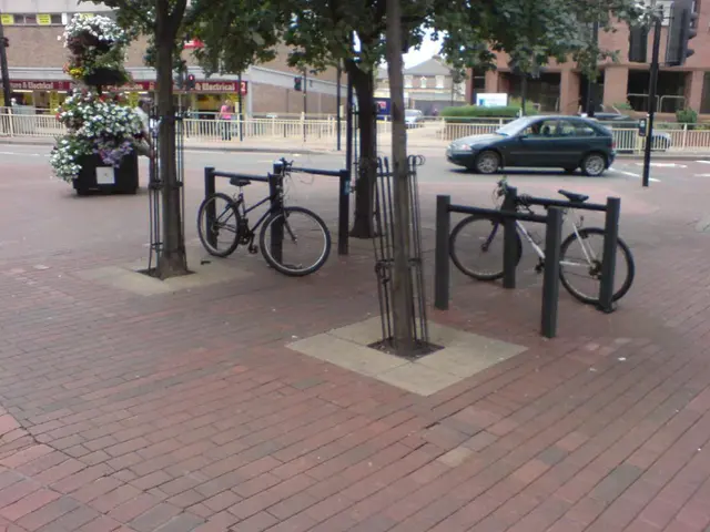 Global Climate Action Centerstage at COP29: Key Role for India and the Global Community