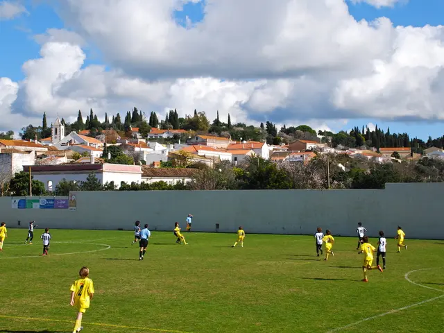 Online leisure activities in the Baltic region shift and evolve