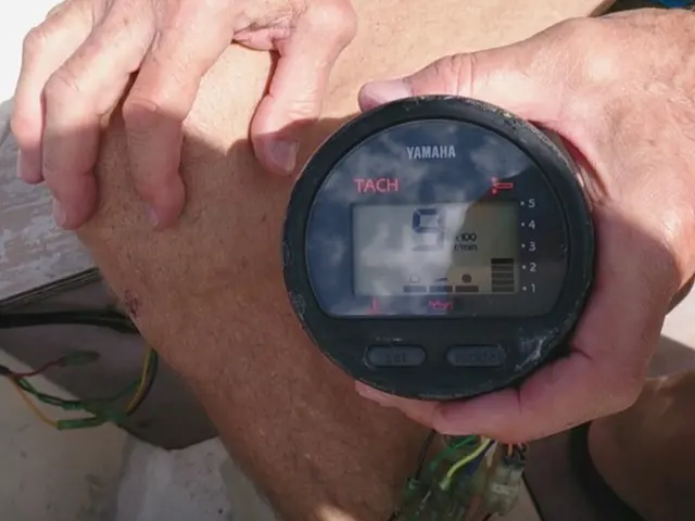 Electrical stimulation of the brain boosts learning capacity?