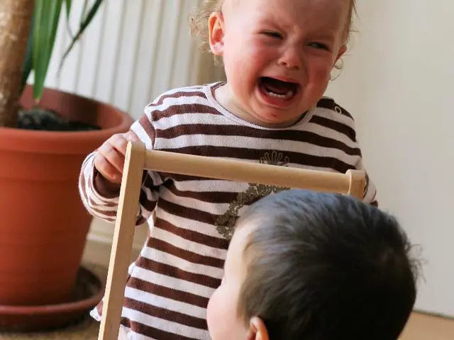 Seeking Families: Inquiry Announced