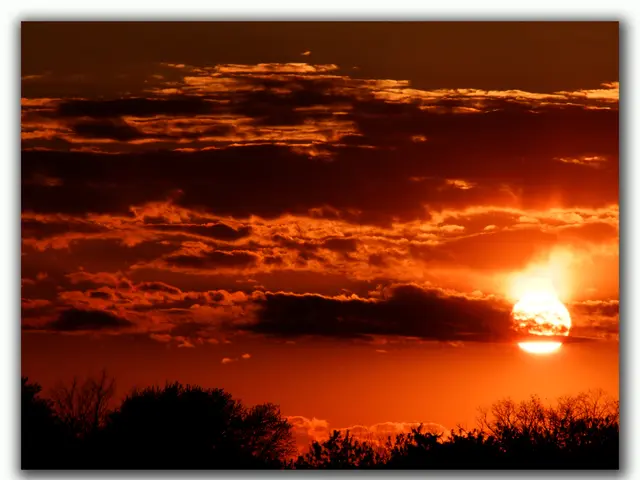 In the image we can see there are trees and there is sunset in the sky. There is a cloudy sky.